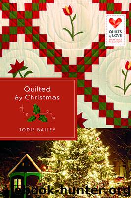 Quilted by Christmas (9781426796142)