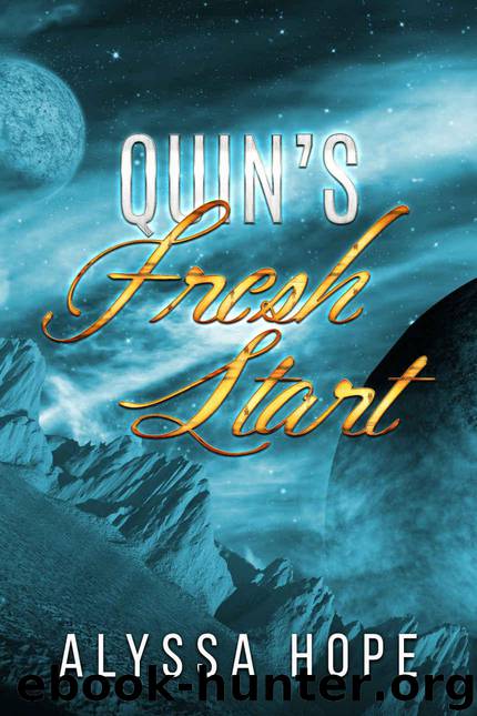 Quin's Fresh Start by Hope Alyssa & Webb J. P