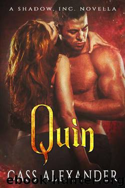 Quin_A Shadow, Inc. Novella by Cass Alexander