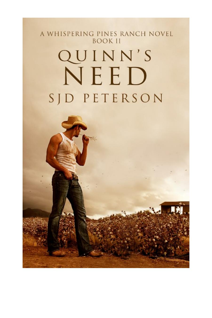 Quinn's Need by SJD Peterson
