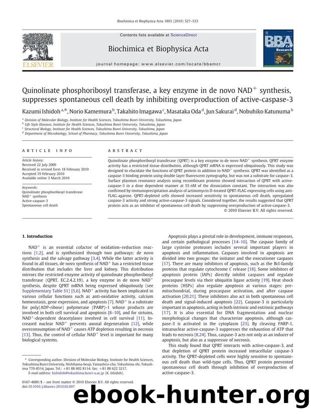 Quinolinate phosphoribosyl transferase, a key enzyme in de novo NAD+ synthesis, suppresses spontaneous cell death by inhibiting overproduction of active-caspase-3 by Kazumi Ishidoh; Norio Kamemura; Takahito Imagawa; Masataka Oda; Jun Sakurai; Nobuhiko Katunuma
