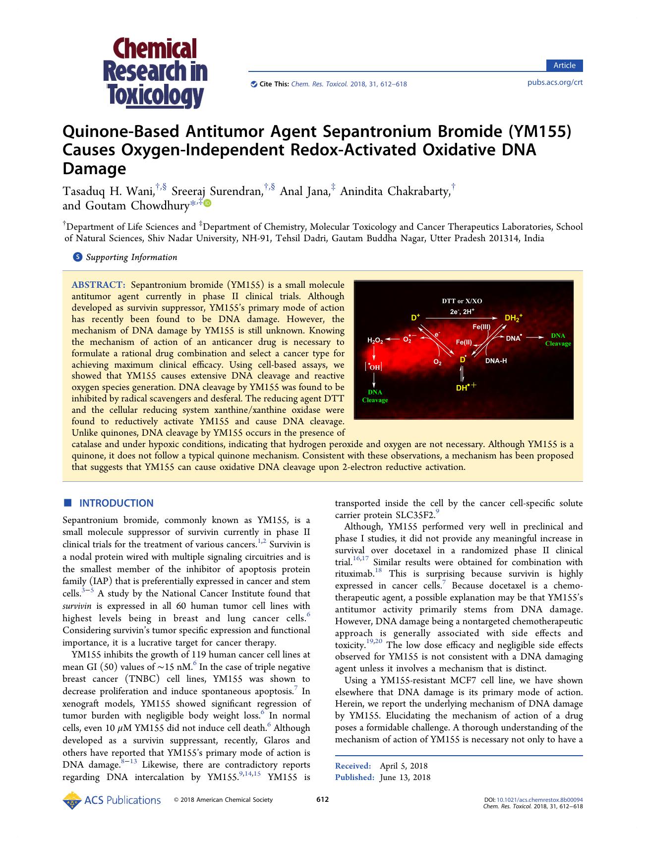 Quinone-Based Antitumor Agent Sepantronium Bromide (YM155) Causes Oxygen-Independent Redox-Activated Oxidative DNA Damage by Tasaduq H. Wani Sreeraj Surendran Anal Jana Anindita Chakrabarty and Goutam Chowdhury