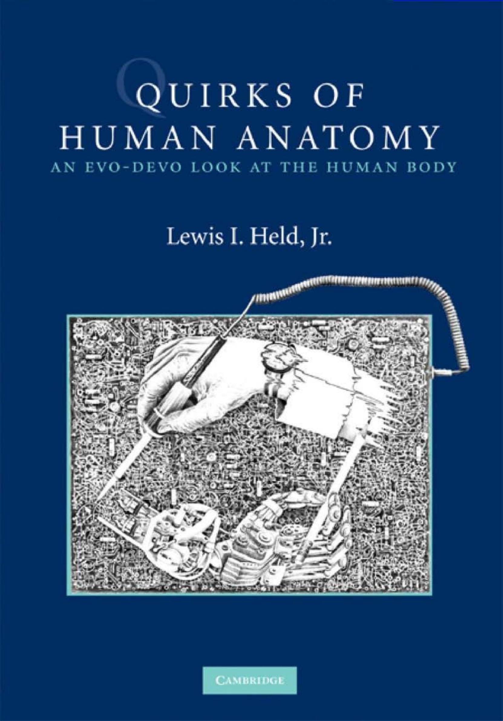 Quirks of Human Anatomy: An Evo-Devo Look at the Human Body by Lewis I. Held Jr