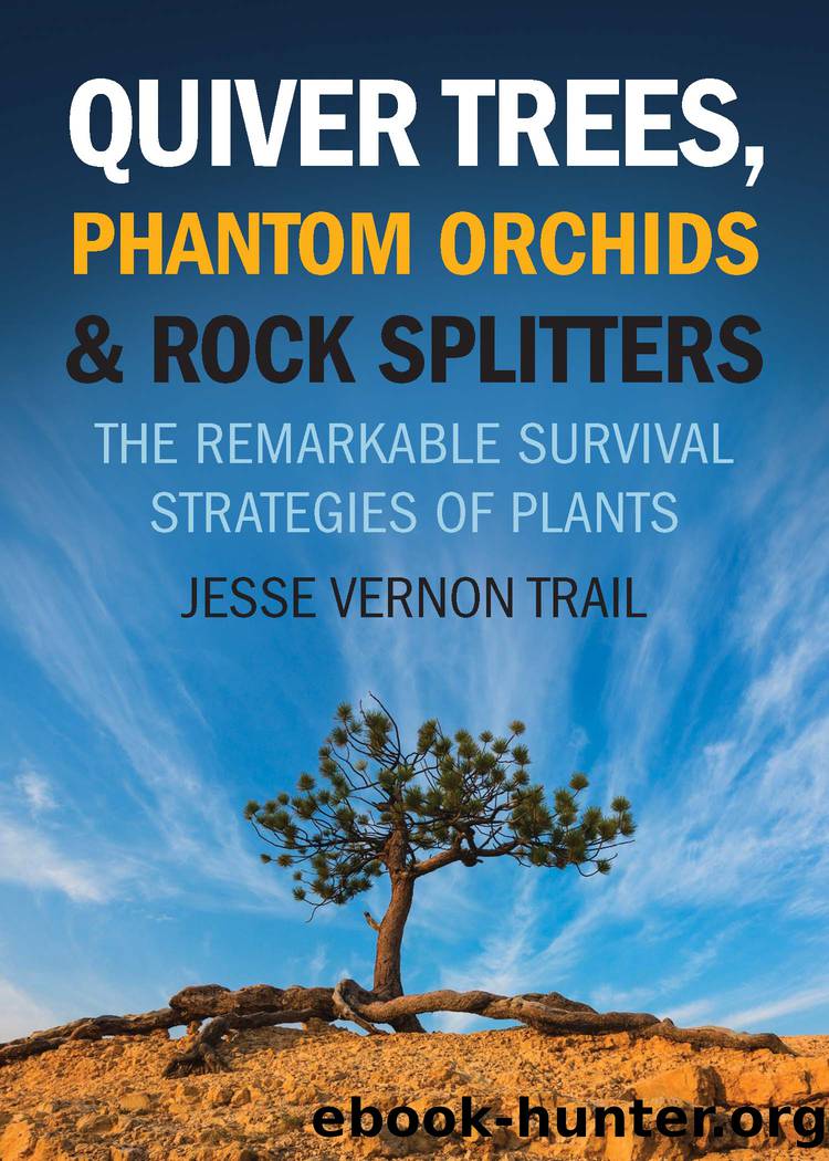 Quiver Trees, Phantom Orchids and Rock Splitters by Vernon Trail Jesse;