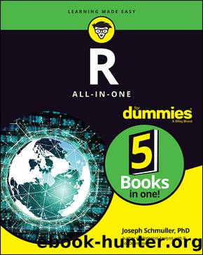 R All-in-One For Dummies by Joseph Schmuller