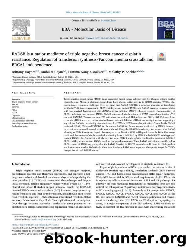 RAD6B is a major mediator of triple negative breast cancer cisplatin resistance_ Regulation of translesion synthesisFanconi anemia crosstalk and BRCA1 independence by Brittany Haynes & Ambikai Gajan & Pratima Nangia-Makker & Malathy P. Shekhar