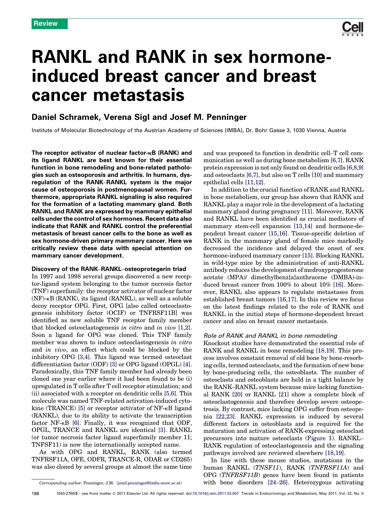 RANKL and RANK in sex hormone-induced breast cancer and breast cancer metastasis by Daniel Schramek