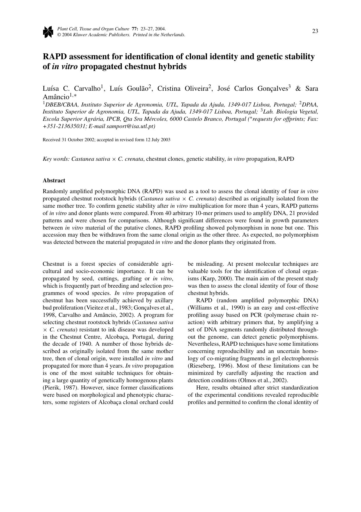 RAPD Assessment for Identification of Clonal Identity and Genetic Stability of <Emphasis Type="Italic">in vitro<Emphasis> Propagated Chestnut Hybrids by Unknown