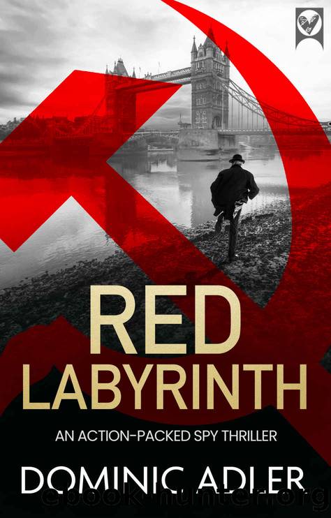 RED LABYRINTH a gripping action-packed spy thriller with a shocking twist by Adler Dominic
