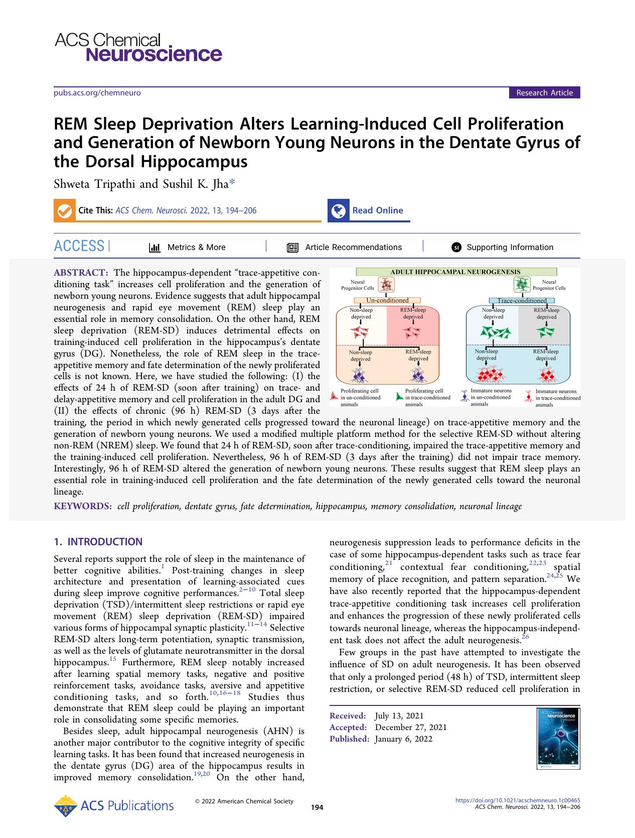 REM Sleep Deprivation Alters Learning-Induced Cell Proliferation and Generation of Newborn Young Neurons in the Dentate Gyrus of the Dorsal Hippocampus by Shweta Tripathi and Sushil K. Jha