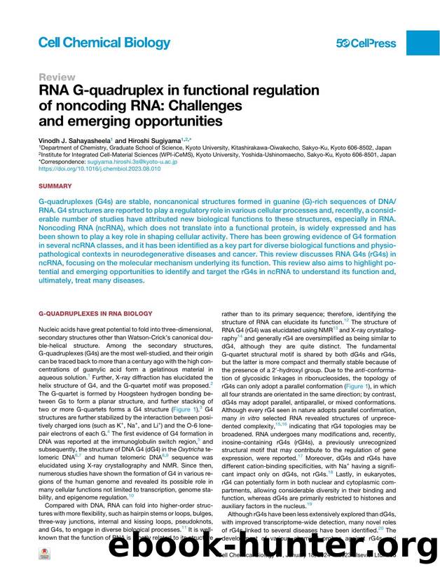 RNA G-quadruplex in functional regulation of noncoding RNA: Challenges and emerging opportunities by Vinodh J. Sahayasheela & Hiroshi Sugiyama