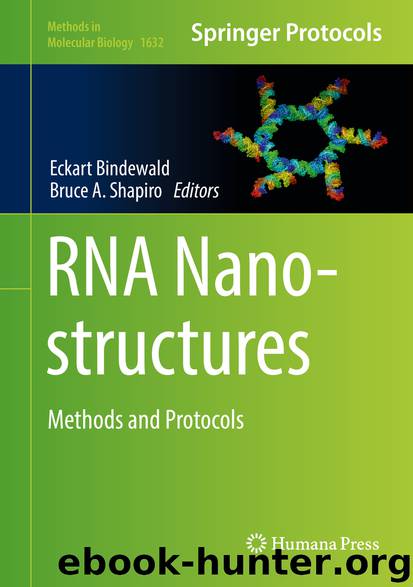 RNA Nanostructures by Eckart Bindewald & Bruce A. Shapiro