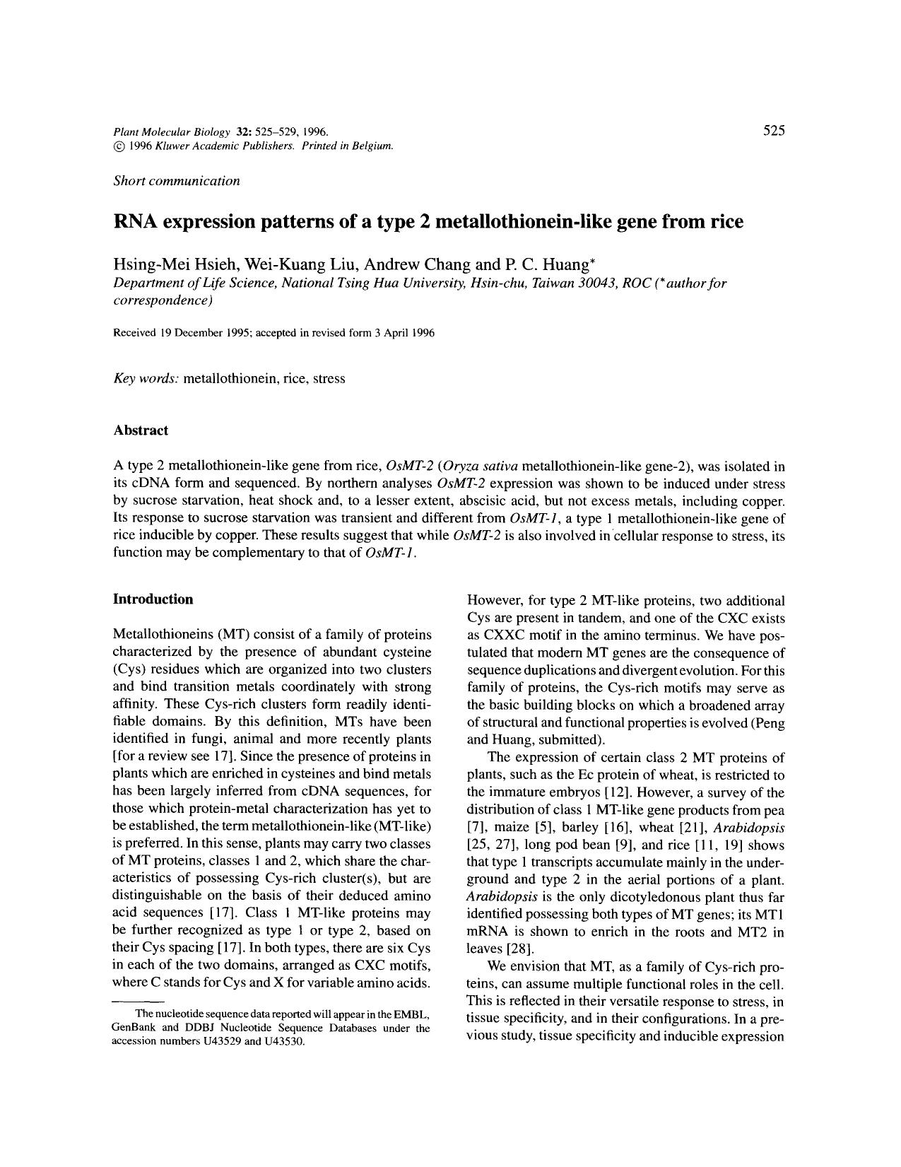 RNA expression patterns of a type 2 metallothionein-like gene from rice by Unknown