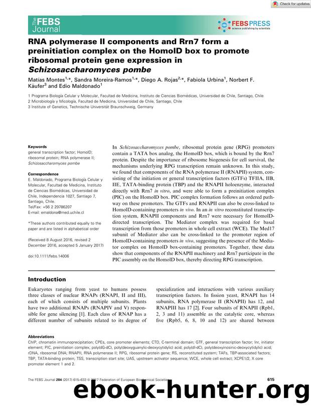 RNA polymerase II components and Rrn7 form a preinitiation complex on the HomolD box to promote ribosomal protein gene expression in Schizosaccharomyces pombe by Unknown