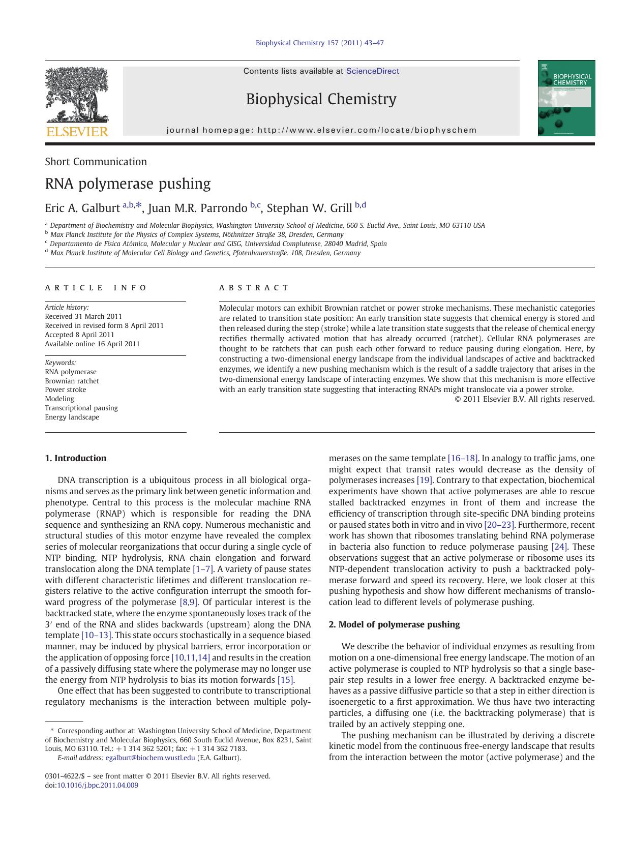 RNA polymerase pushing by Eric A. Galburt & Juan M.R. Parrondo & Stephan W. Grill