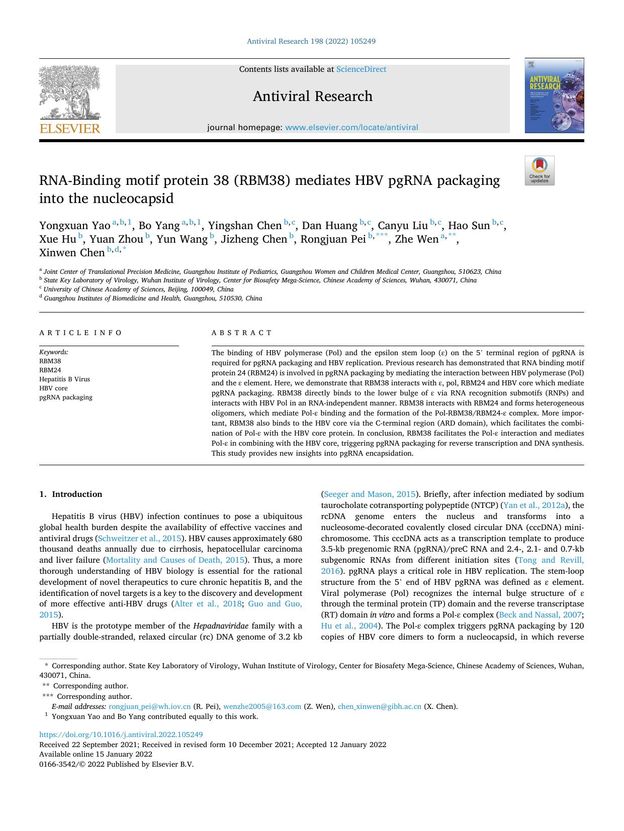 RNA-Binding motif protein 38 (RBM38) mediates HBV pgRNA packaging into the nucleocapsid by unknow