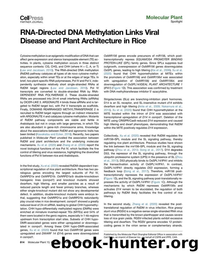 RNA-Directed DNA Methylation Links Viral Disease and Plant Architecture in Rice by Taiji Kawakatsu