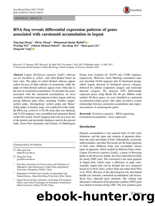 RNA-Seq reveals differential expression patterns of genes associated with carotenoid accumulation in loquat by unknow