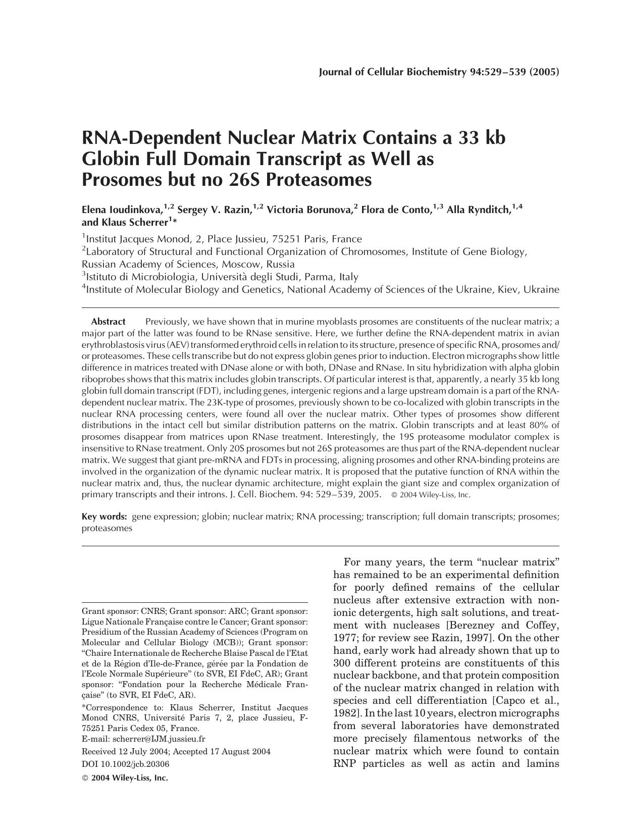 RNA-dependent nuclear matrix contains a 33 kb globin full domain transcript as well as prosomes but no 26S proteasomes by Unknown