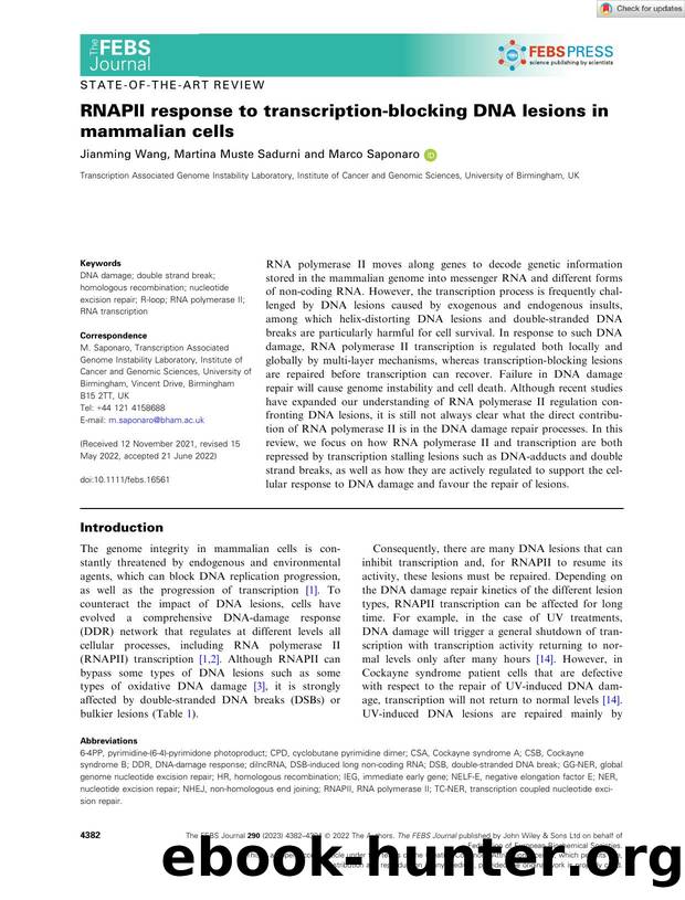 RNAPII response to transcriptionâblocking DNA lesions in mammalian cells by Unknown