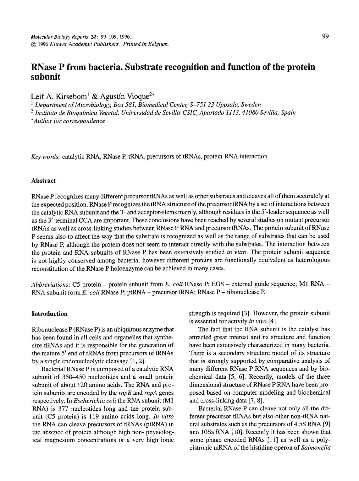 RNase P from bacteria. Substrate recognition and function of the protein subunit by Unknown