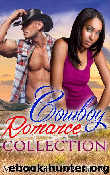 ROMANCE: Cowboy's Endless Love Collection (BWWM Billionaire Cowboy Romance) (African American Ranch Multicultural Interracial) by Moon Light Publishing