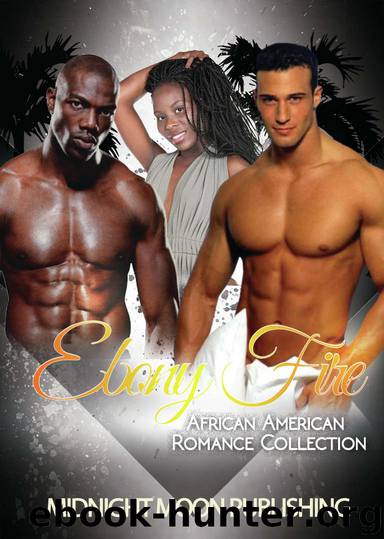 ROMANCE: Ebony Fire (Hood BWWM Pregnancy Hood Romance Collection) (African American Interracial Urban Short Stories) by Midnight Moon Publishing