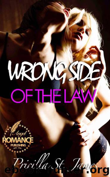 ROMANCE: LESBIAN ROMANCE: The Wrong Side of the Law (WW LGBT)(Gay Fantasy)(Seduced by the Her)( Seduced by a Stranger)( Contemporary Gay Police Romance ... gay romance)(BBW Unmasked)(Contemporary)) by Pricilla St. James