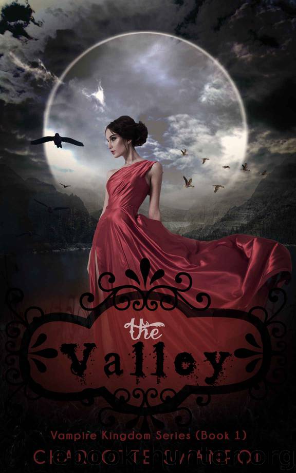 ROMANCE: Paranormal Romance: The Valley (Book One) (Fun, Sexy, Mature Young Adult Vampire Shape Shifter Romance) by Charlotte Swanpol