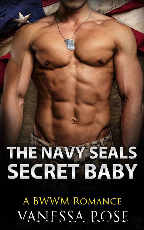 ROMANCE: The Navy SEALs Secret Baby by Vanessa Rose