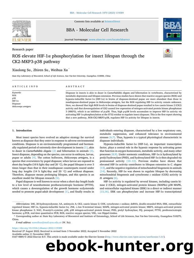 ROS elevate HIF-1Î± phosphorylation for insect lifespan through the CK2-MKP3-p38 pathway by Xiaolong Su & Zhiren Su & Weihua Xu