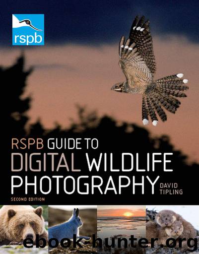 RSPB Guide to Digital Wildlife Photography by Tipling David