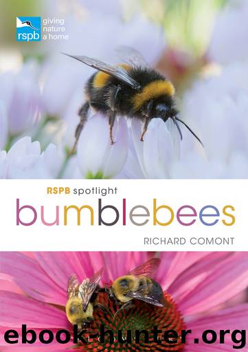 RSPB Spotlight Bumblebees by Richard Comont
