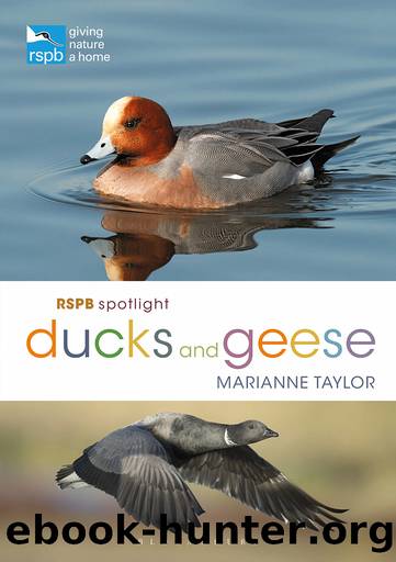 RSPB Spotlight Ducks and Geese by Marianne Taylor