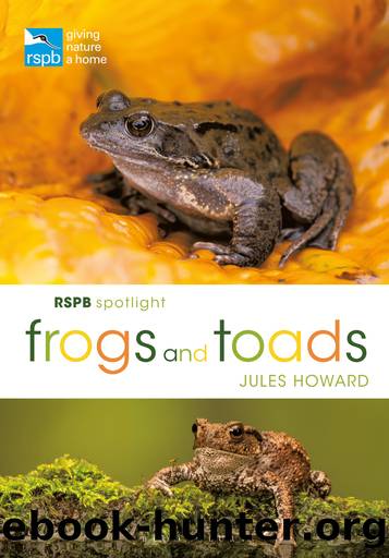 RSPB Spotlight Frogs and Toads by Jules Howard
