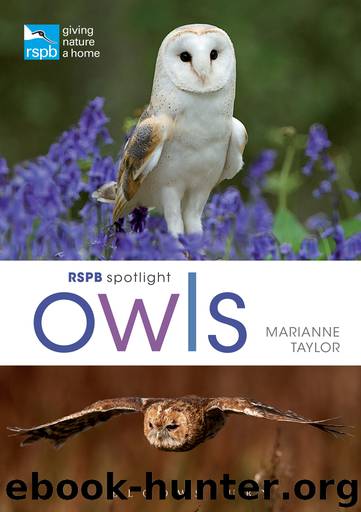 RSPB Spotlight Owls by Marianne Taylor