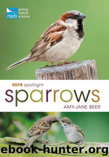 RSPB Spotlight Sparrows by Amy-Jane Beer