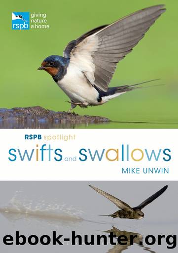 RSPB Spotlight Swifts and Swallows by Mike Unwin