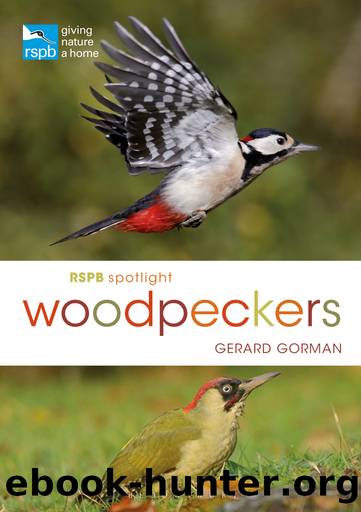RSPB Spotlight Woodpeckers by Gerard Gorman