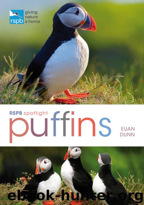 RSPB Spotlight by Euan Dunn