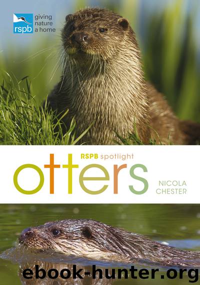 RSPB Spotlight by Nicola Chester