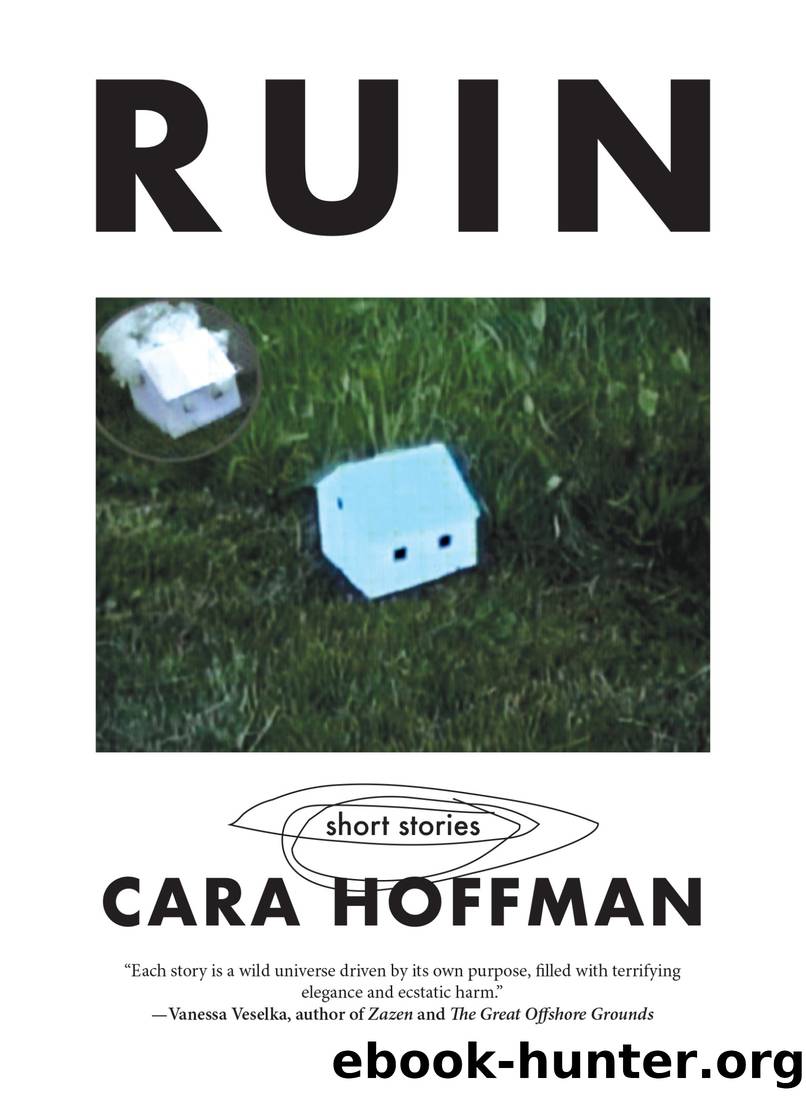 RUIN by Cara Hoffman
