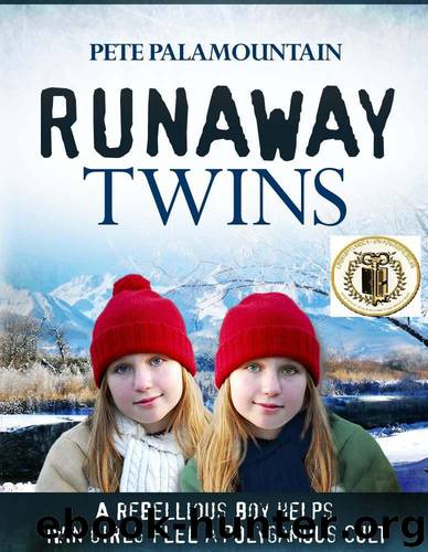 RUNAWAY TWINS (Runaway Twins series #1) by Palamountain Pete