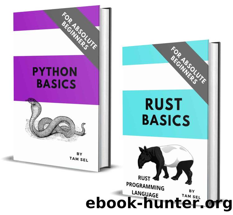 RUST AND PYTHON CODING BASICS: FOR ABSOLUTE BEGINNERS by SEL TAM