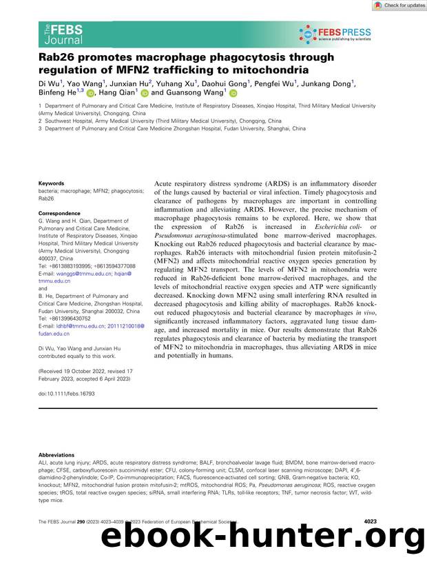 Rab26 promotes macrophage phagocytosis through regulation of MFN2 trafficking to mitochondria by Unknown