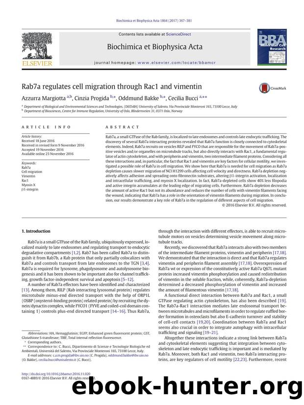 Rab7a regulates cell migration through Rac1 and vimentin by Azzurra Margiotta & Cinzia Progida & Oddmund Bakke & Cecilia Bucci