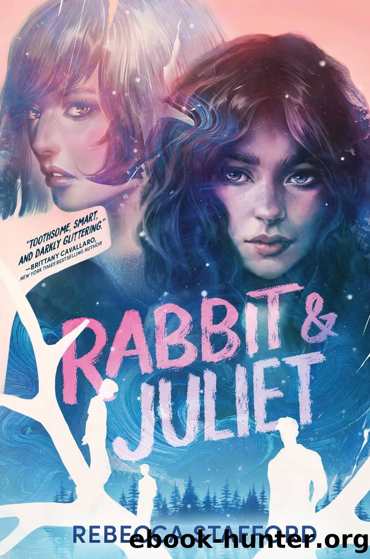Rabbit & Juliet by Rebecca Stafford