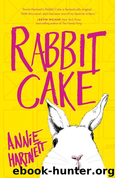 Rabbit Cake by Annie Hartnett
