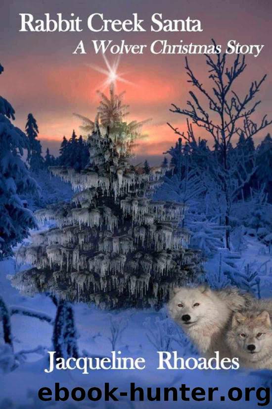 Rabbit Creek Santa by Jacqueline Rhoades