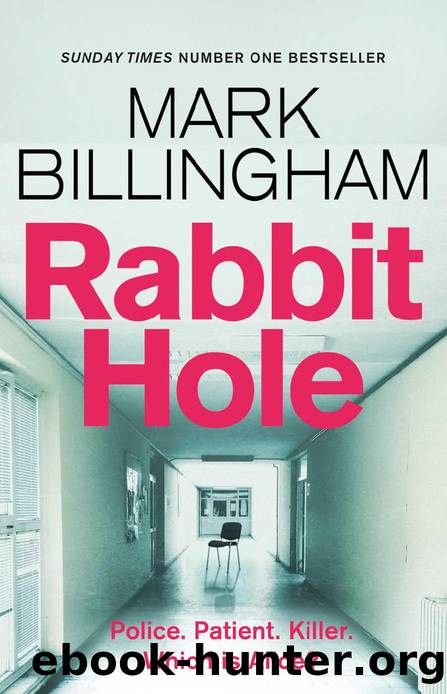 Rabbit Hole by Mark Billingham